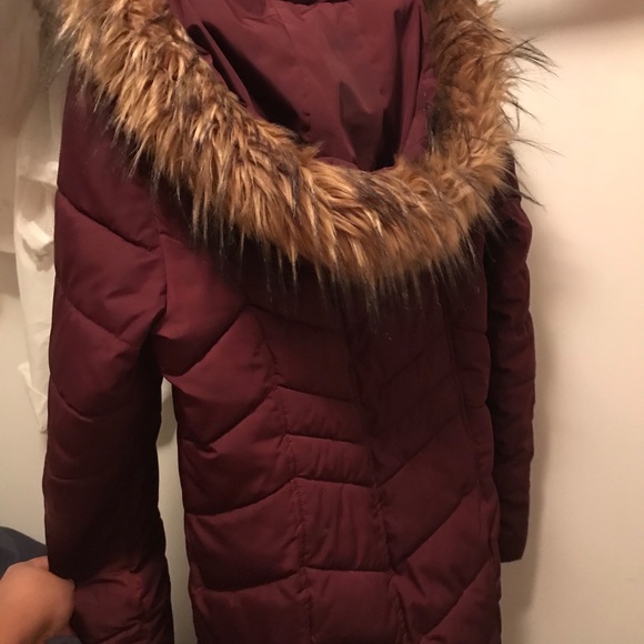 Tommy Coat - Picture 8 of 8